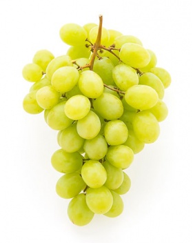 Chile Grape